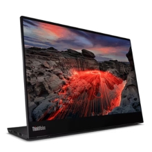 ThinkVision M14t Gen 2
