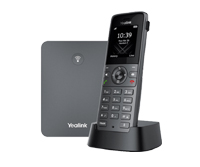 W73P DECT Phone System